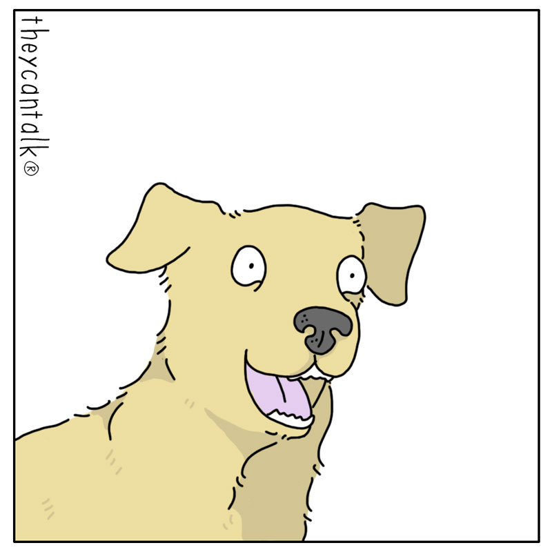 https://cdn.tinyview.com/they-can-talk/2024/05/06/ballpark/dog_ballpark4.jpg