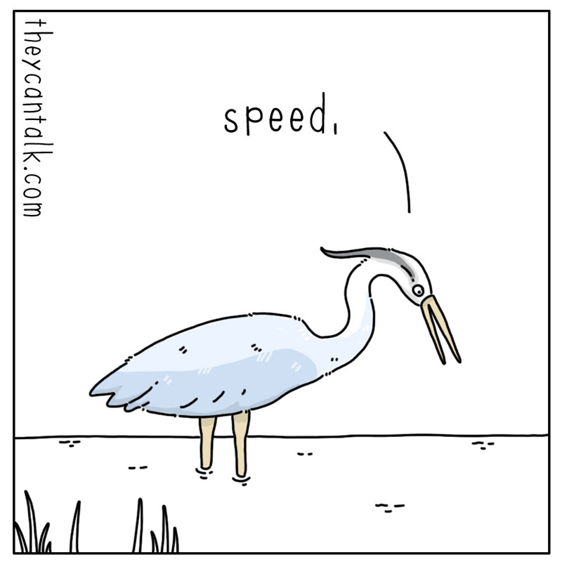 https://cdn.tinyview.com/they-can-talk/2024/05/10/ambush/heron_stupid3.jpg