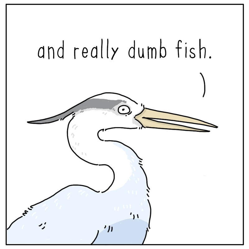 https://cdn.tinyview.com/they-can-talk/2024/05/10/ambush/heron_stupid4.jpg