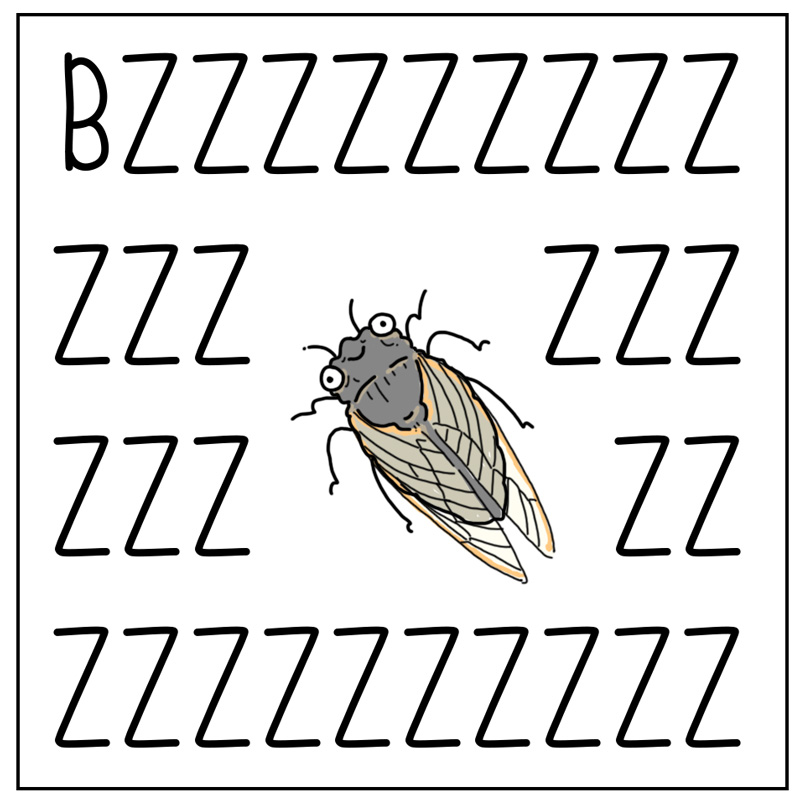 https://cdn.tinyview.com/they-can-talk/2024/05/17/cicadas/cicada2.jpg