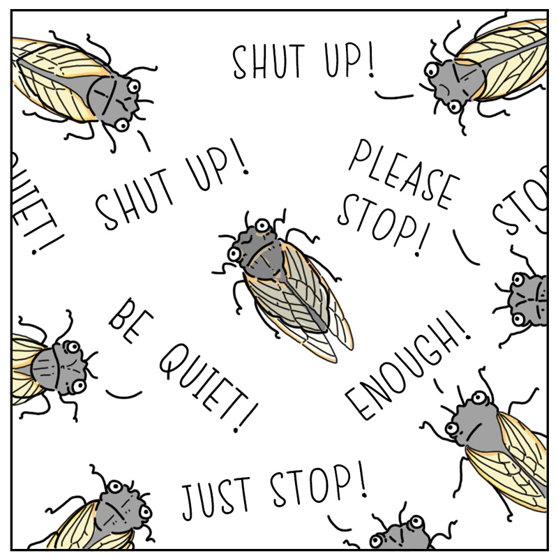 https://cdn.tinyview.com/they-can-talk/2024/05/17/cicadas/cicada3.jpg