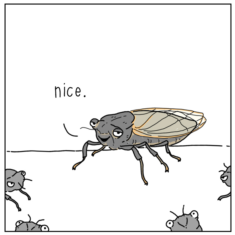 https://cdn.tinyview.com/they-can-talk/2024/05/17/cicadas/cicada4.jpg