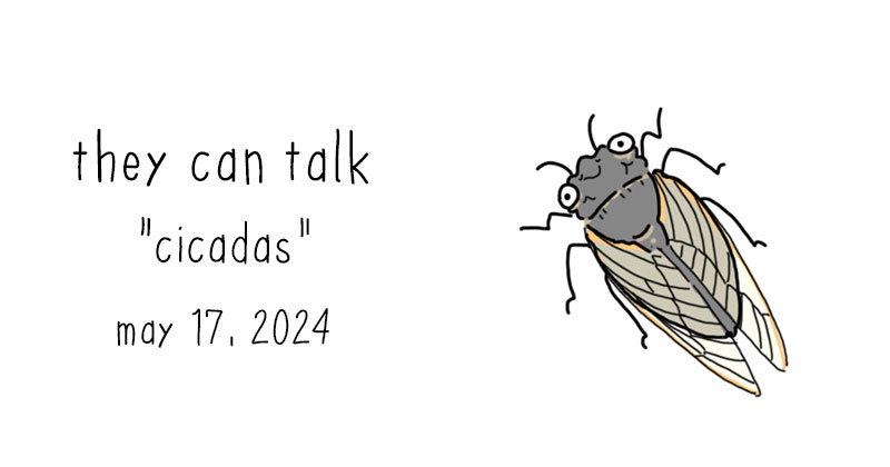 cicadas