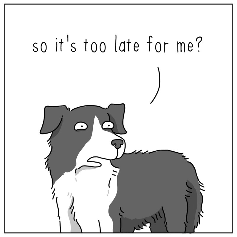 https://cdn.tinyview.com/they-can-talk/2024/05/20/cool/dog_cool3.jpg