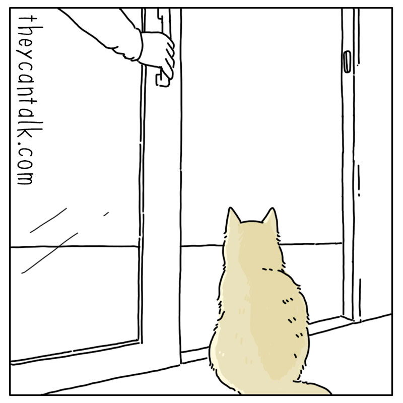 https://cdn.tinyview.com/they-can-talk/2024/05/24/ambition/cat_ambition3.jpg