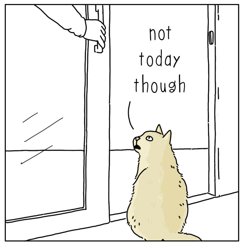 https://cdn.tinyview.com/they-can-talk/2024/05/24/ambition/cat_ambition4.jpg