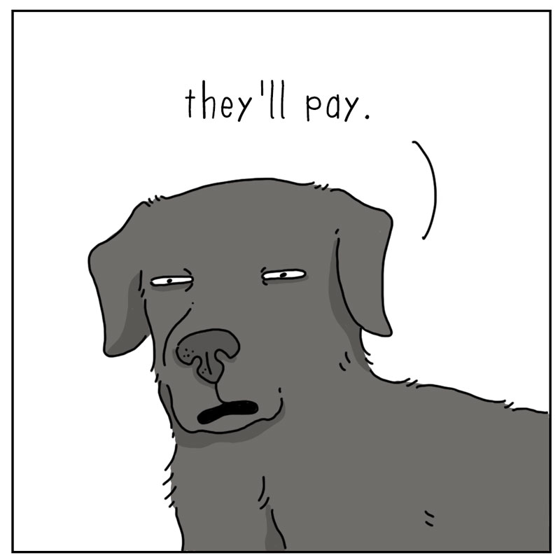 https://cdn.tinyview.com/they-can-talk/2024/05/27/new-ball/dog_newball4.jpg