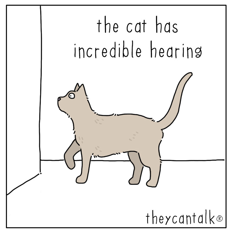 https://cdn.tinyview.com/they-can-talk/2024/05/31/hear/cat_hearing1.jpg