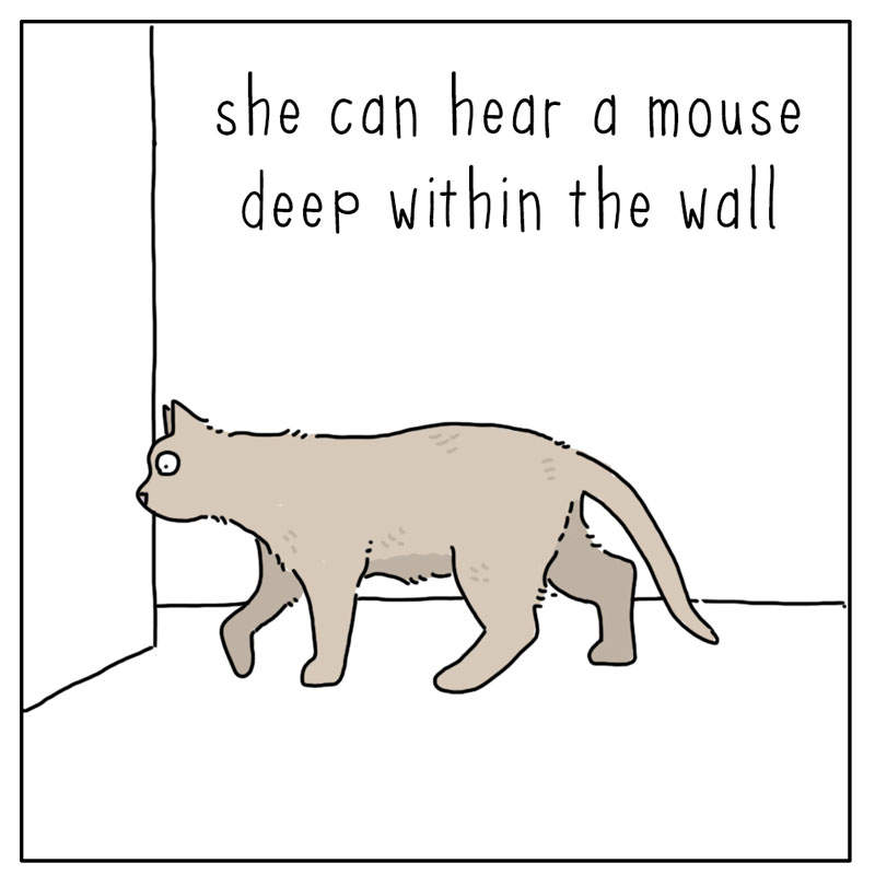 https://cdn.tinyview.com/they-can-talk/2024/05/31/hear/cat_hearing2.jpg