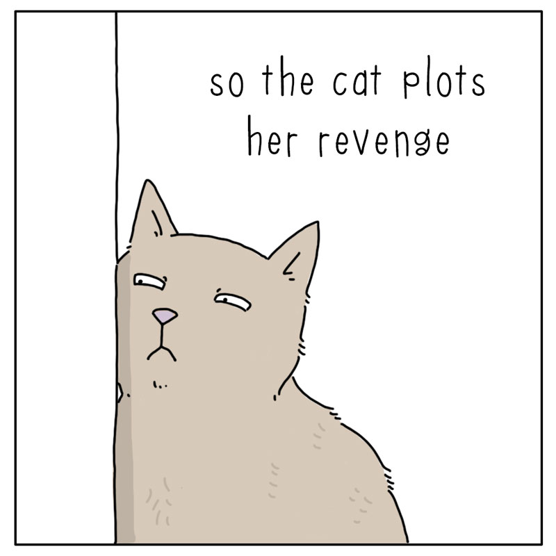https://cdn.tinyview.com/they-can-talk/2024/05/31/hear/cat_hearing4.jpg