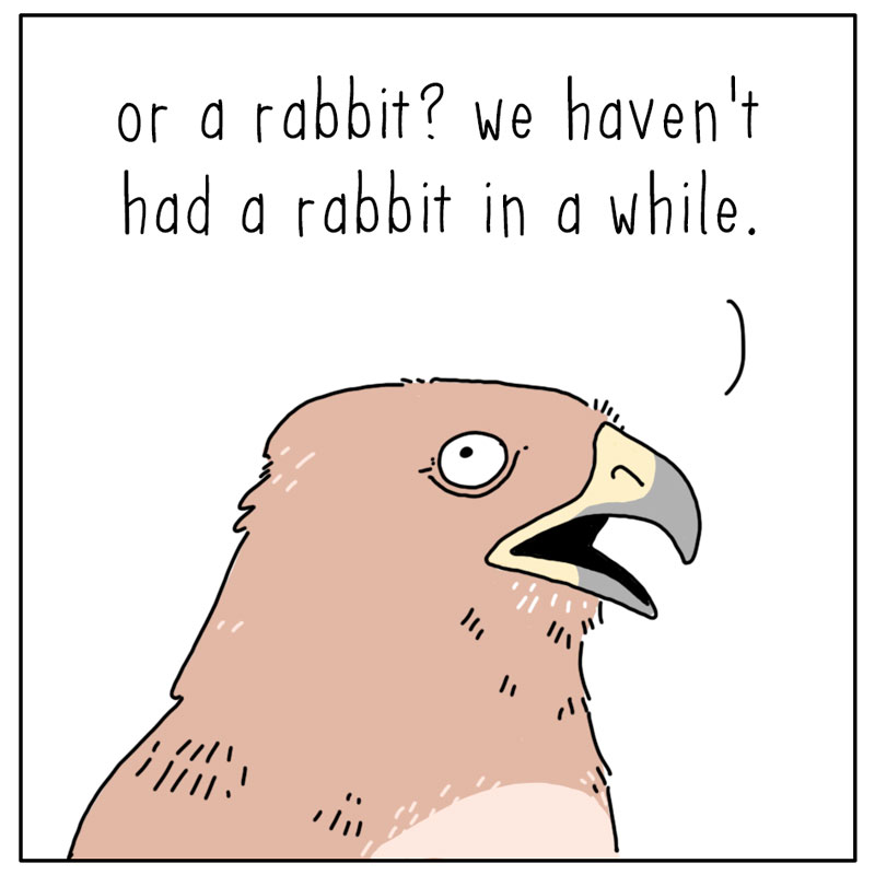 https://cdn.tinyview.com/they-can-talk/2024/06/03/decisions/hawk_dinner2.jpg