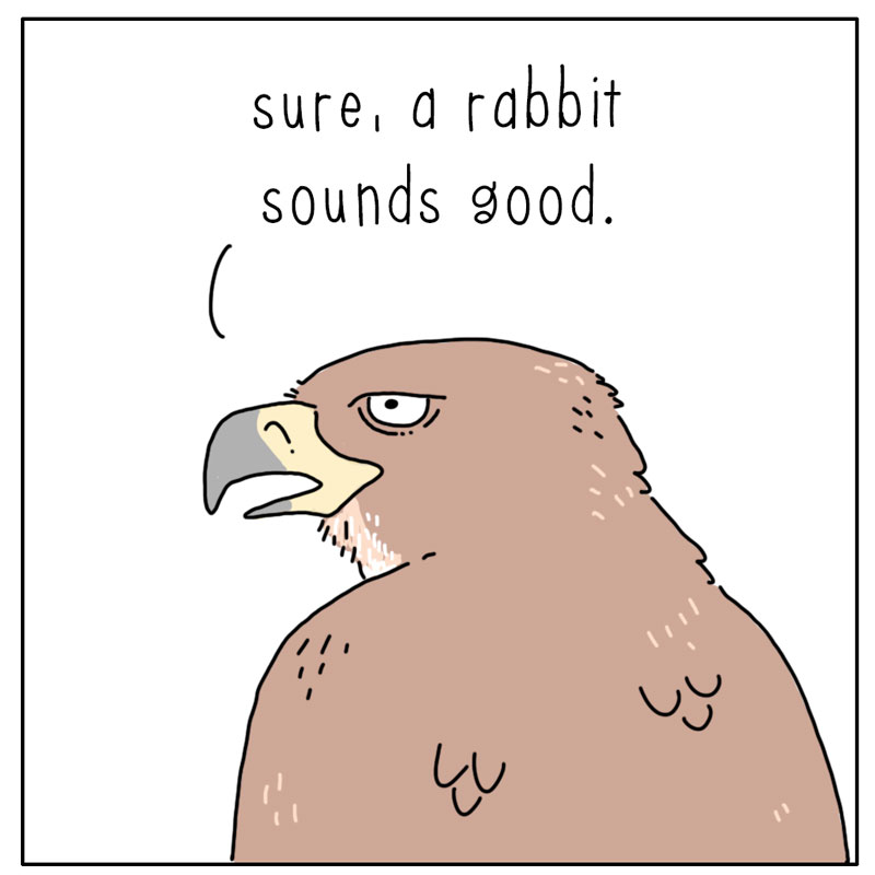 https://cdn.tinyview.com/they-can-talk/2024/06/03/decisions/hawk_dinner3.jpg