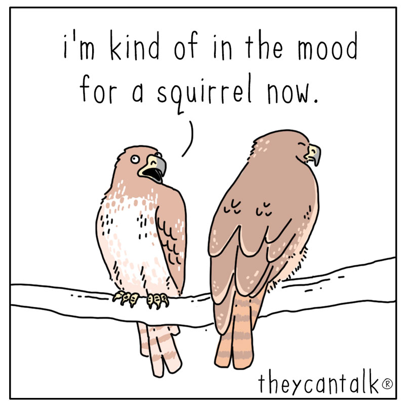 https://cdn.tinyview.com/they-can-talk/2024/06/03/decisions/hawk_dinner4.jpg
