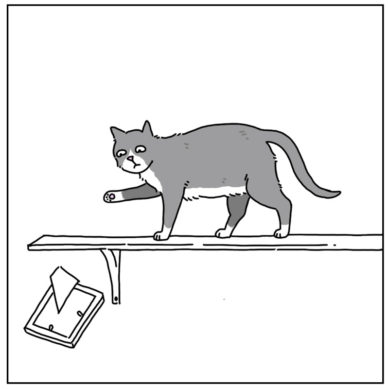 https://cdn.tinyview.com/they-can-talk/2024/06/07/decorating/cat_minimal1.jpg