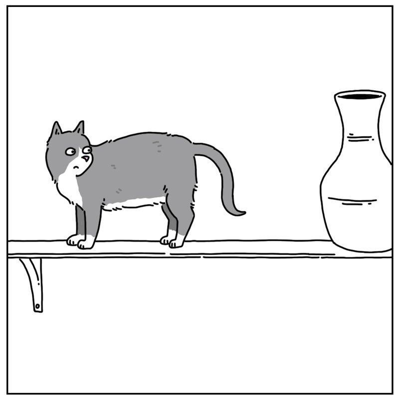 https://cdn.tinyview.com/they-can-talk/2024/06/07/decorating/cat_minimal2.jpg