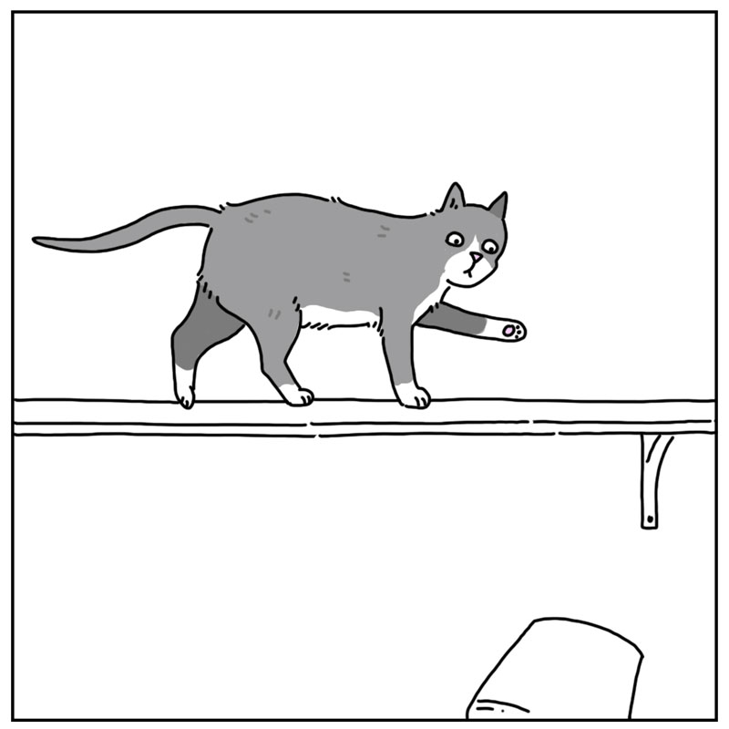 https://cdn.tinyview.com/they-can-talk/2024/06/07/decorating/cat_minimal3.jpg
