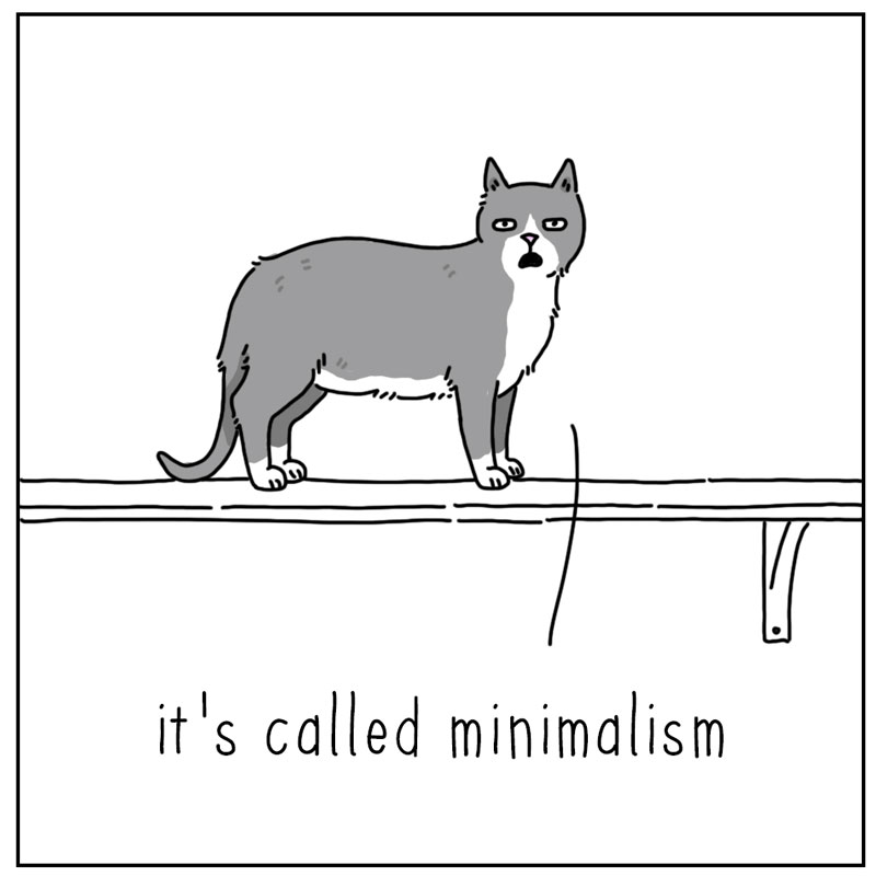 https://cdn.tinyview.com/they-can-talk/2024/06/07/decorating/cat_minimal4.jpg