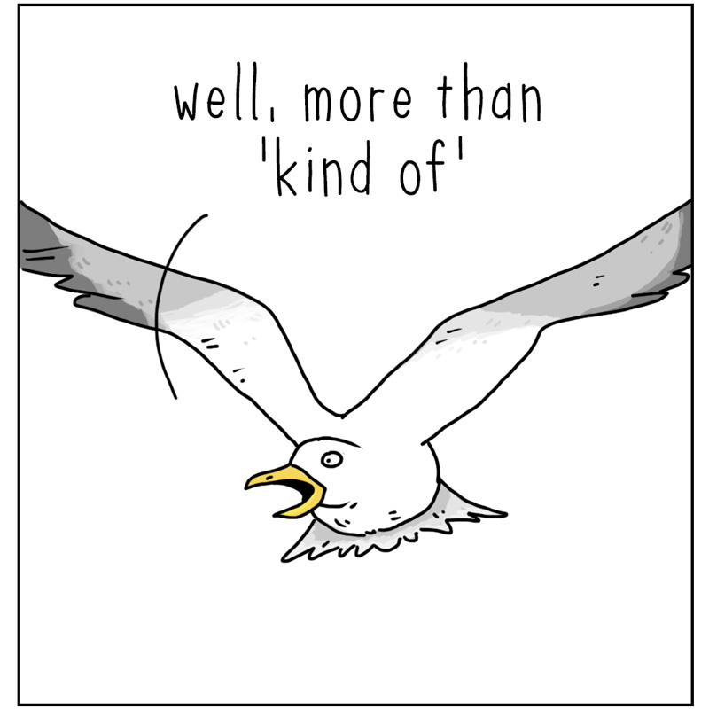 https://cdn.tinyview.com/they-can-talk/2024/06/14/dump/seagull_dump2.jpg