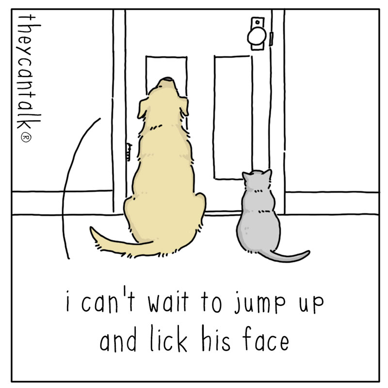 https://cdn.tinyview.com/they-can-talk/2024/06/21/greeting/dog_greeting1.jpg