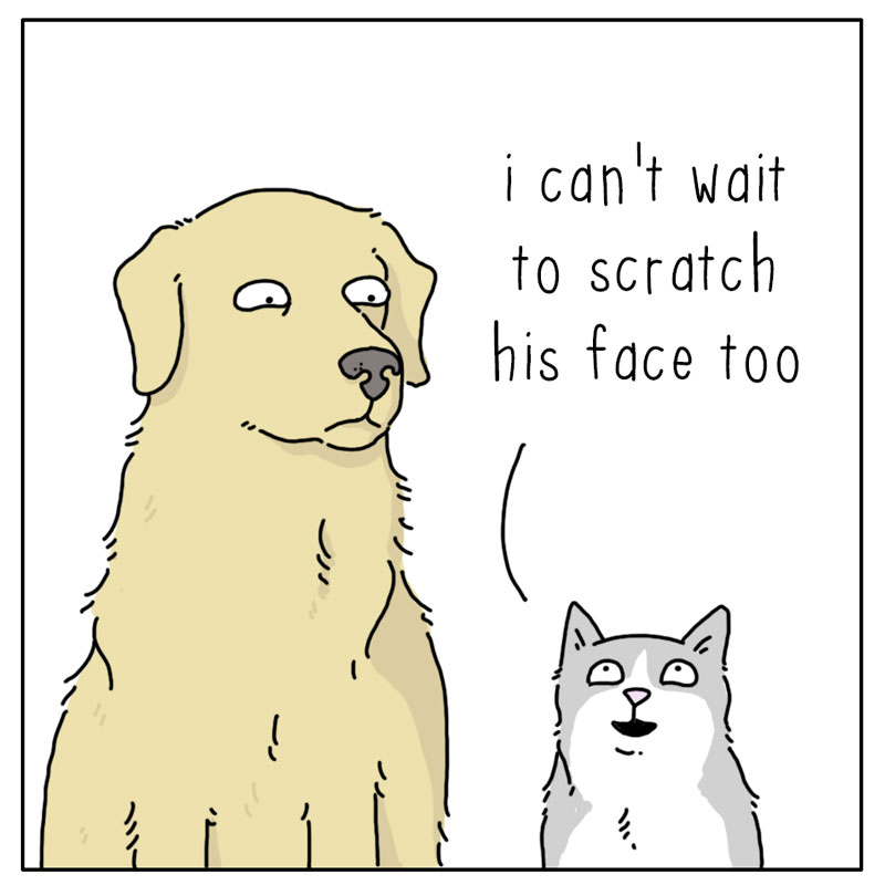 https://cdn.tinyview.com/they-can-talk/2024/06/21/greeting/dog_greeting2.jpg