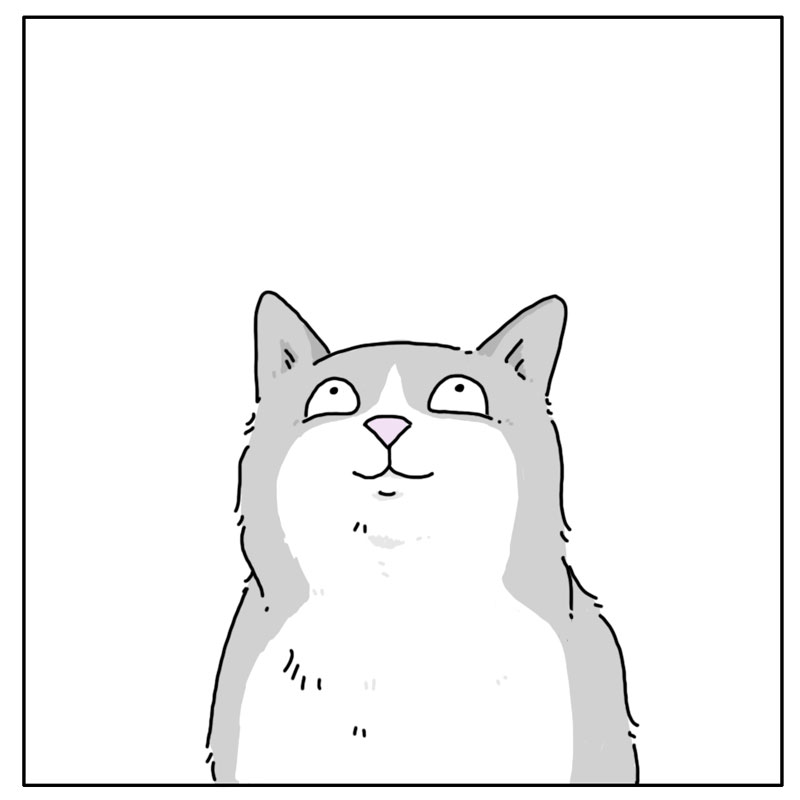 https://cdn.tinyview.com/they-can-talk/2024/06/21/greeting/dog_greeting4.jpg