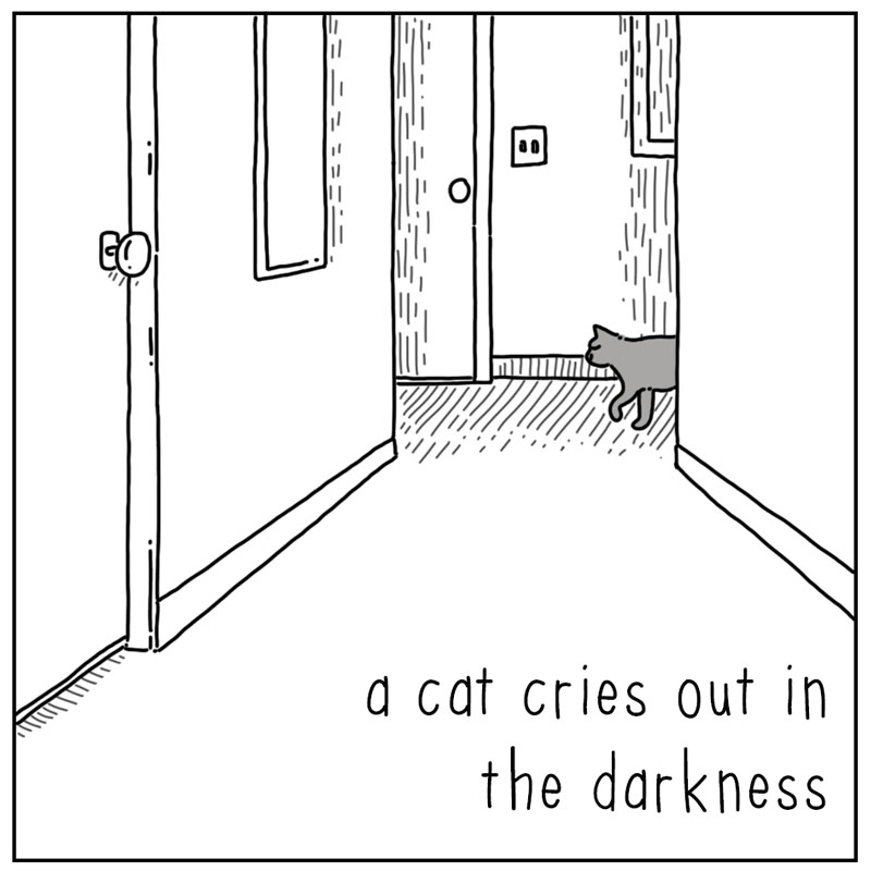 https://cdn.tinyview.com/they-can-talk/2024/06/28/midnight/cat_breakfast3.jpg