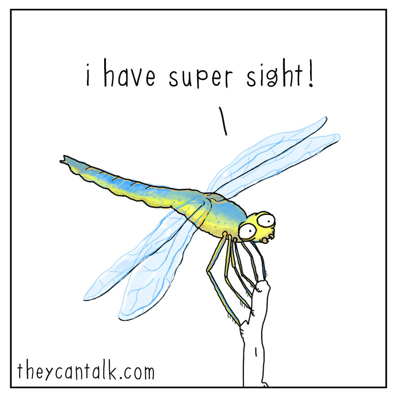https://cdn.tinyview.com/they-can-talk/2024/07/05/superpowers/stickbug_powers1.jpg