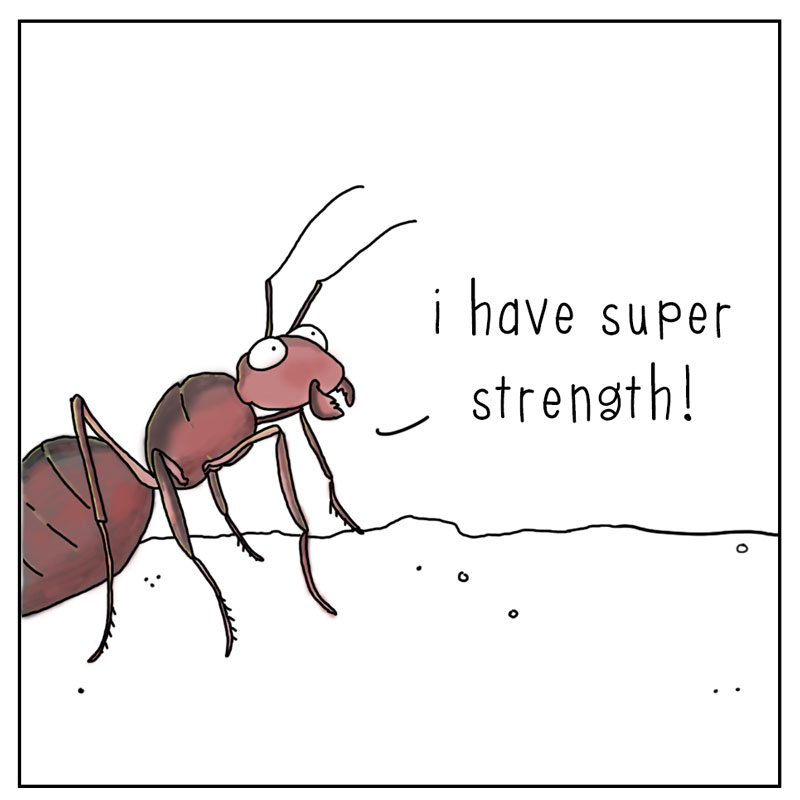 https://cdn.tinyview.com/they-can-talk/2024/07/05/superpowers/stickbug_powers2.jpg
