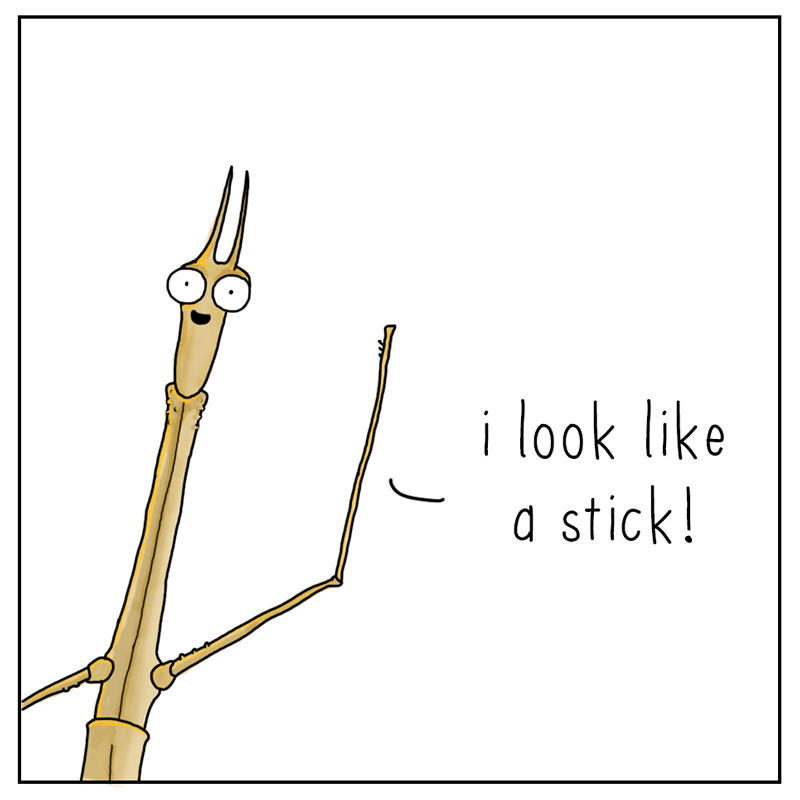 https://cdn.tinyview.com/they-can-talk/2024/07/05/superpowers/stickbug_powers4.jpg