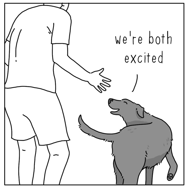 https://cdn.tinyview.com/they-can-talk/2024/07/08/excited/dog_excited3.jpg