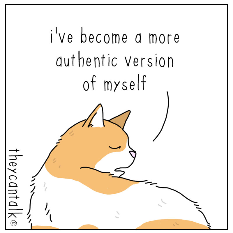 https://cdn.tinyview.com/they-can-talk/2024/07/12/authentic/cat_authentic2.jpg