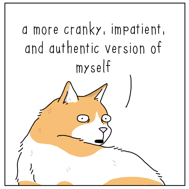 https://cdn.tinyview.com/they-can-talk/2024/07/12/authentic/cat_authentic3.jpg