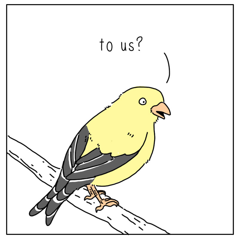 https://cdn.tinyview.com/they-can-talk/2024/07/15/every-morning/bird_everything3.jpg