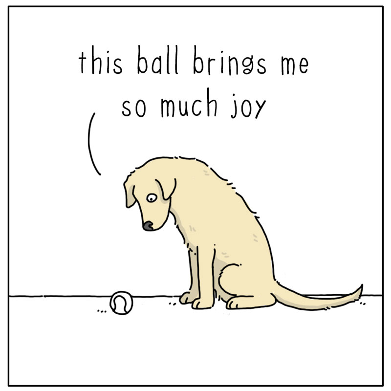 https://cdn.tinyview.com/they-can-talk/2024/07/19/joy/dog_joy1.jpg