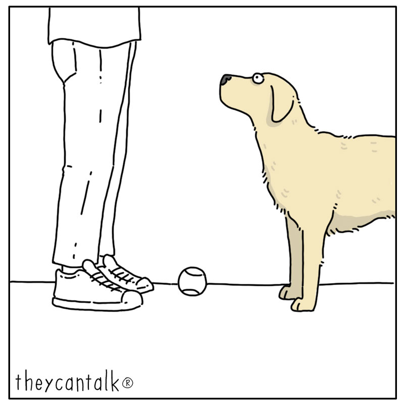 https://cdn.tinyview.com/they-can-talk/2024/07/19/joy/dog_joy3.jpg