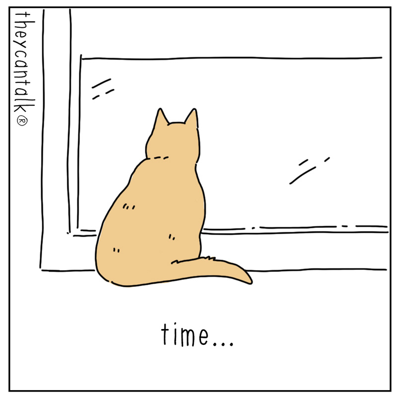 https://cdn.tinyview.com/they-can-talk/2024/07/22/time/cat_time1.jpg