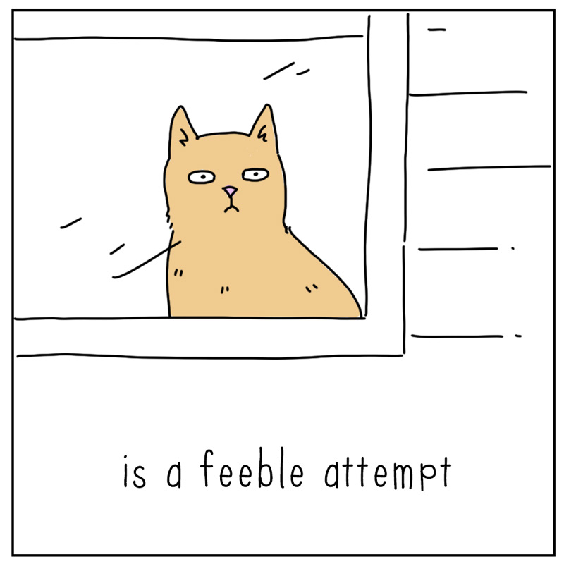 https://cdn.tinyview.com/they-can-talk/2024/07/22/time/cat_time2.jpg