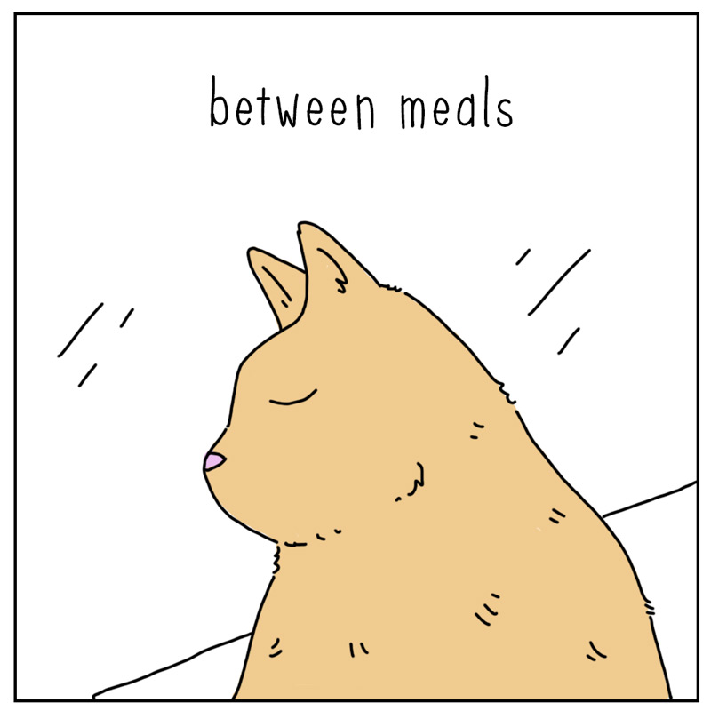 https://cdn.tinyview.com/they-can-talk/2024/07/22/time/cat_time4.jpg