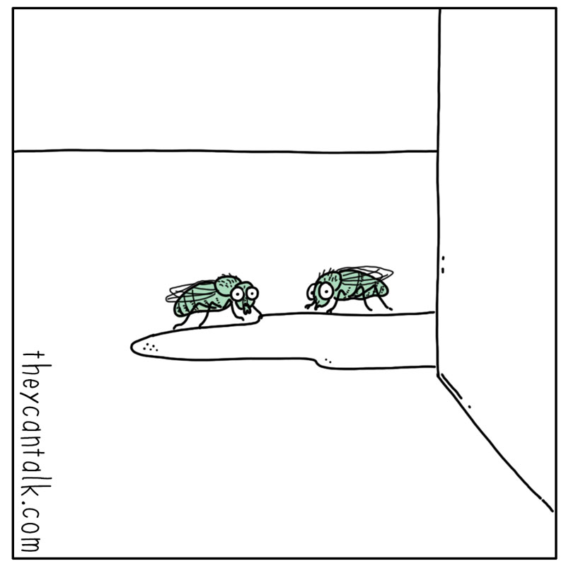 https://cdn.tinyview.com/they-can-talk/2024/07/26/juice/mosquito_juice3.jpg