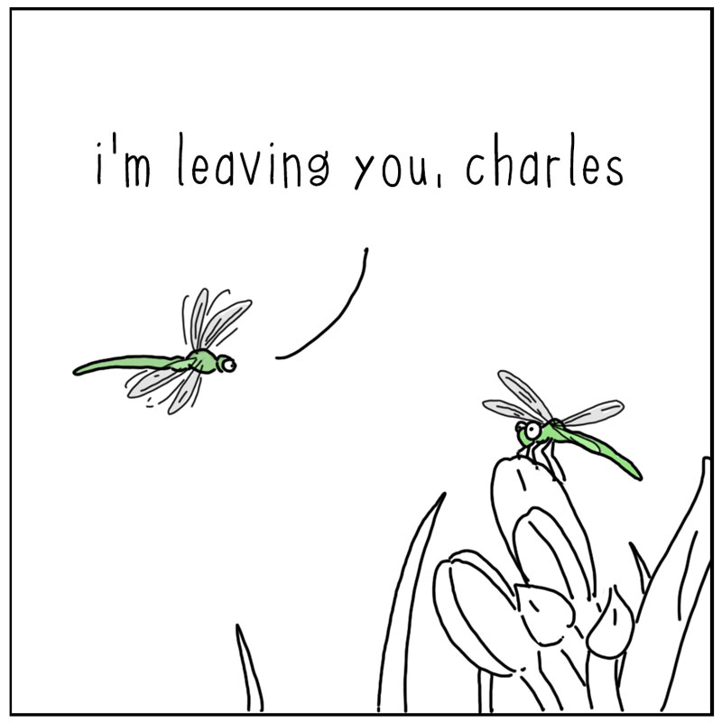 https://cdn.tinyview.com/they-can-talk/2024/07/29/vision/dragonfly_vision1.jpg