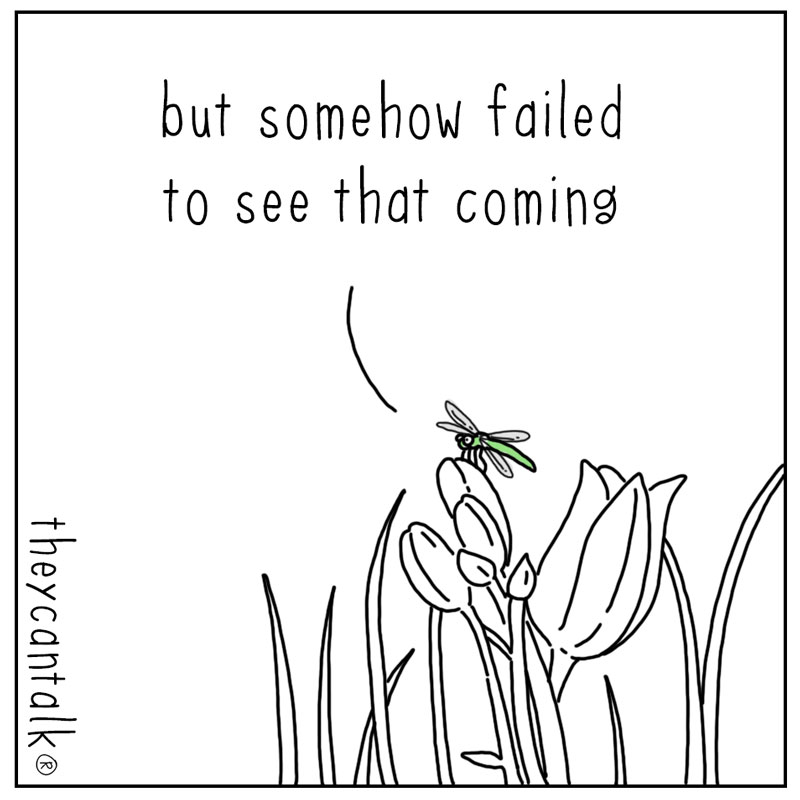 https://cdn.tinyview.com/they-can-talk/2024/07/29/vision/dragonfly_vision3.jpg