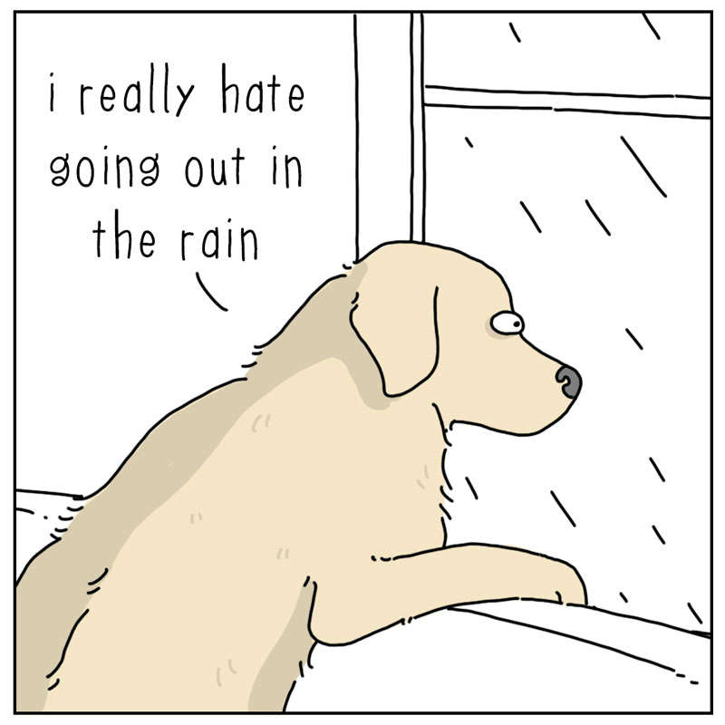https://cdn.tinyview.com/they-can-talk/2024/08/02/rain/dog_rain1.jpg