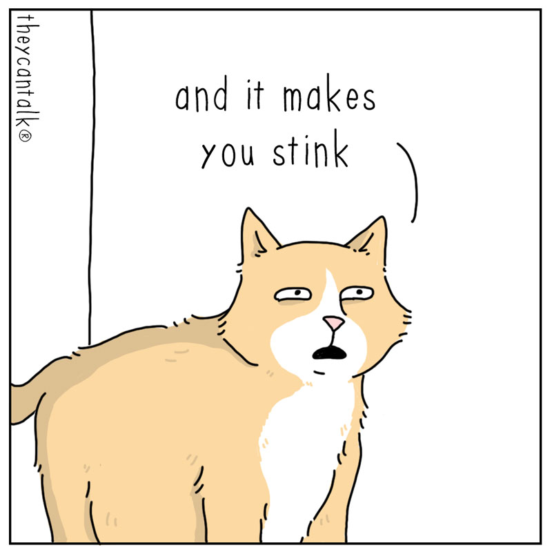 https://cdn.tinyview.com/they-can-talk/2024/08/02/rain/dog_rain2.jpg