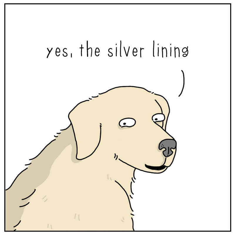 https://cdn.tinyview.com/they-can-talk/2024/08/02/rain/dog_rain3.jpg