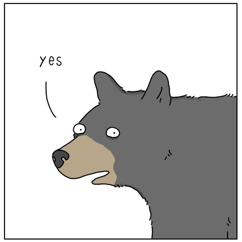 https://cdn.tinyview.com/they-can-talk/2024/08/09/wallet/bear_wallet3.jpg