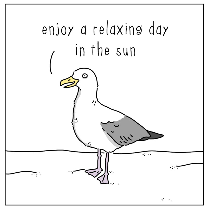 https://cdn.tinyview.com/they-can-talk/2024/08/12/serenade/seagull_song2.jpg