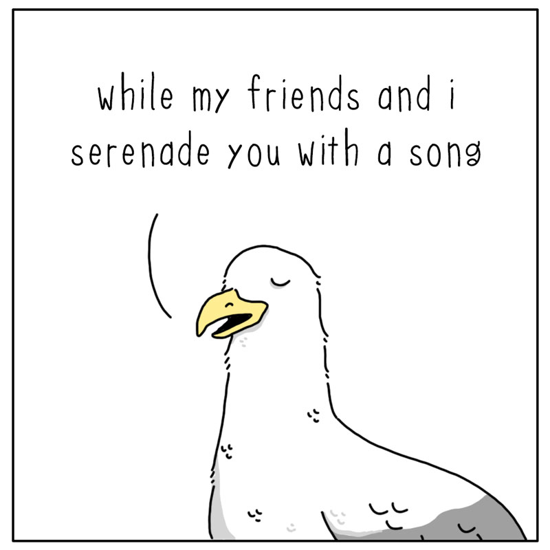 https://cdn.tinyview.com/they-can-talk/2024/08/12/serenade/seagull_song3.jpg