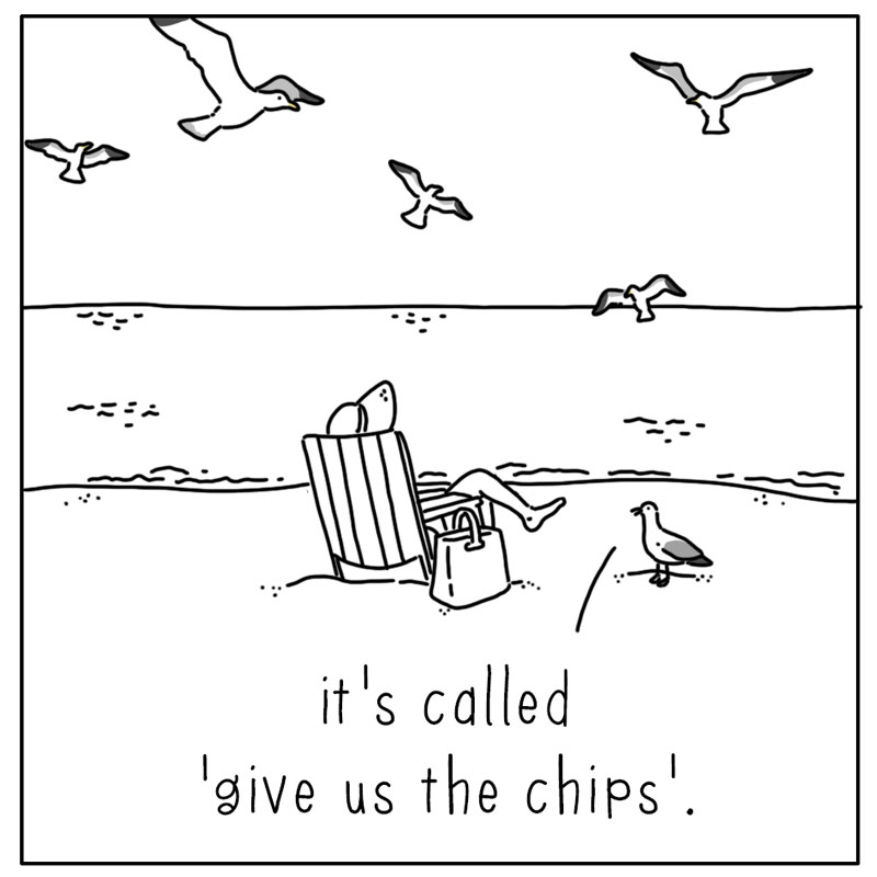 https://cdn.tinyview.com/they-can-talk/2024/08/12/serenade/seagull_song4.jpg