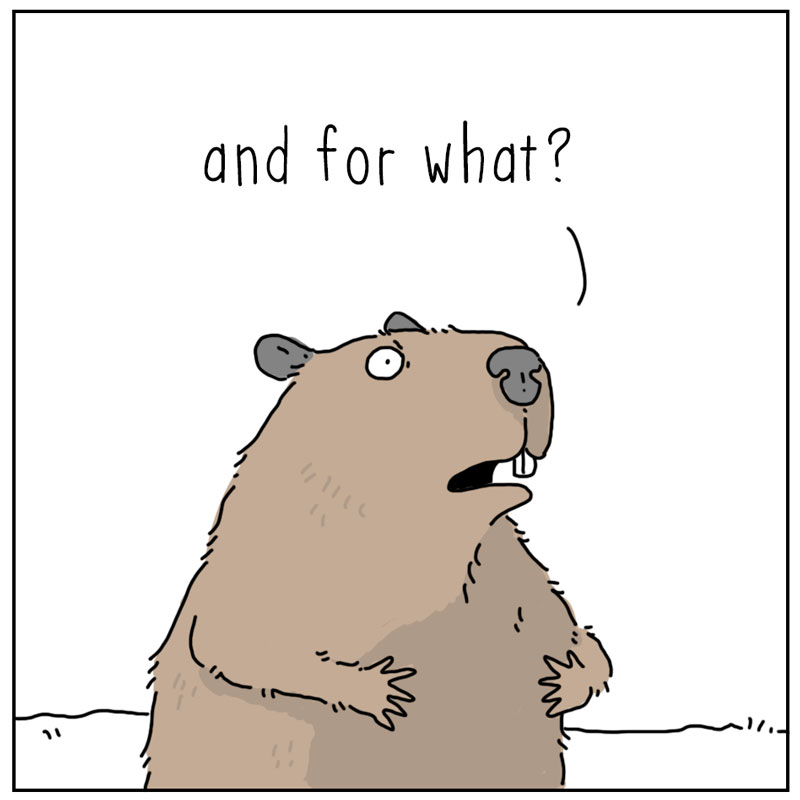 https://cdn.tinyview.com/they-can-talk/2024/08/16/work/beaver_work2.jpg