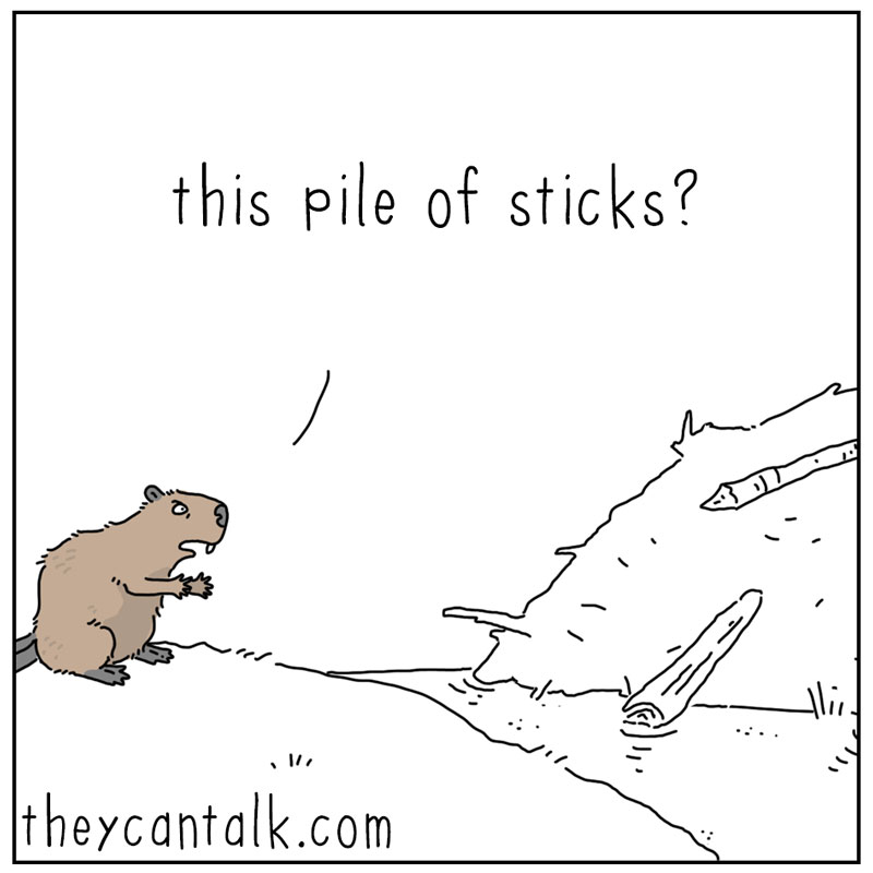 https://cdn.tinyview.com/they-can-talk/2024/08/16/work/beaver_work3.jpg